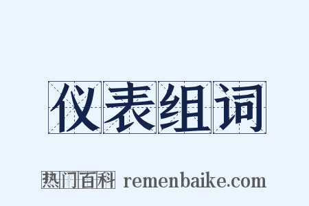 仪表组词是什么意思的图片